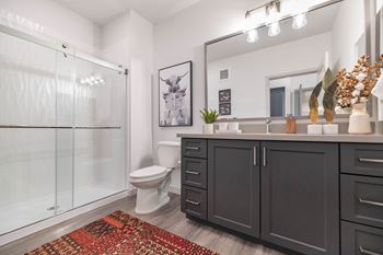 a bathroom with a shower toilet and sink and a rug at Weylyn Luxury Apartments, Laveen, AZ, 85339